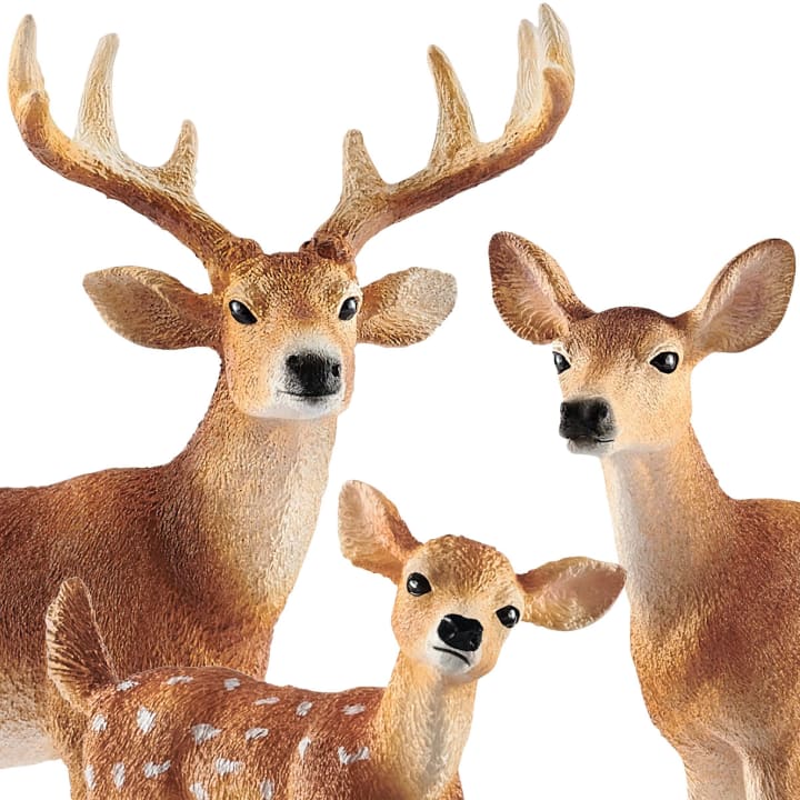 Schleich® Waldtiere-Set, 8-teilig online kaufen » HABA Pro