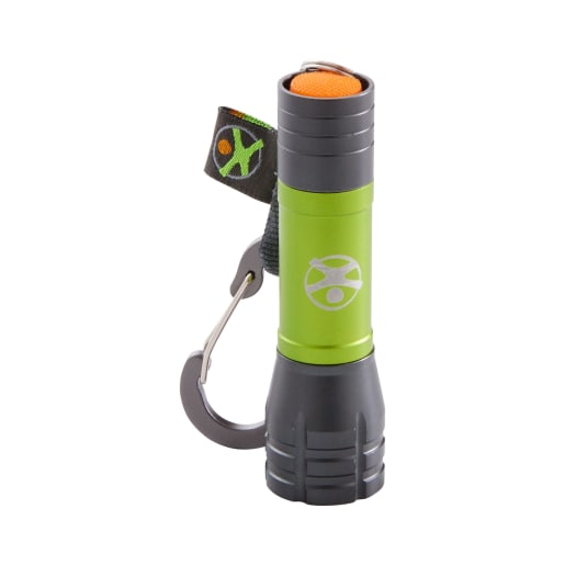 HABA Display Terra Kids Mini-Taschenlampen, Natur erforschen, Kinderspielzeug Outdoor, MINT-Fähigkeiten ausbauen, Naturwissenschaften
